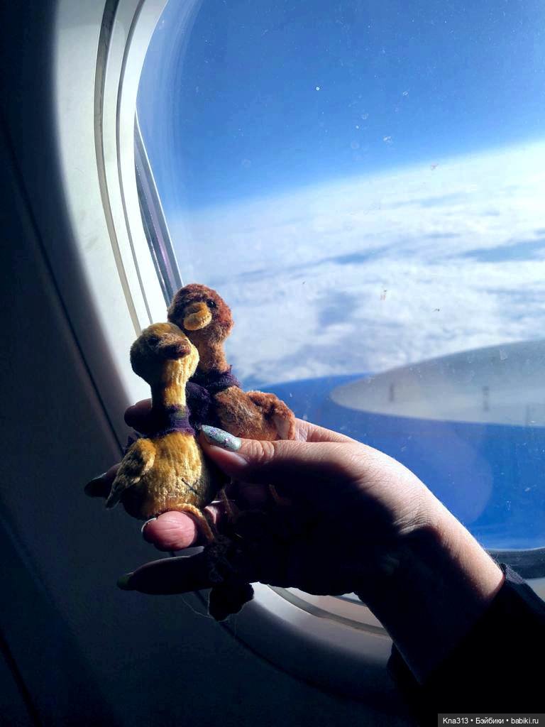 Путешествие из Екатеринбурга в Санкт- Петербург