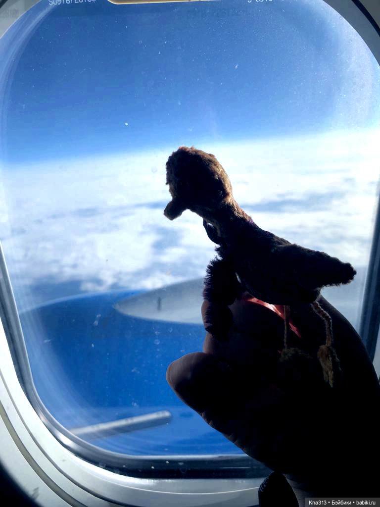 Путешествие из Екатеринбурга в Санкт- Петербург