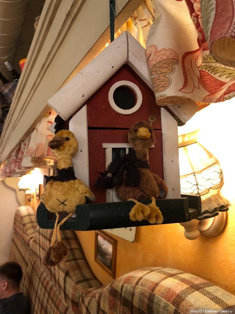 Гуси в Питере. Продолжение