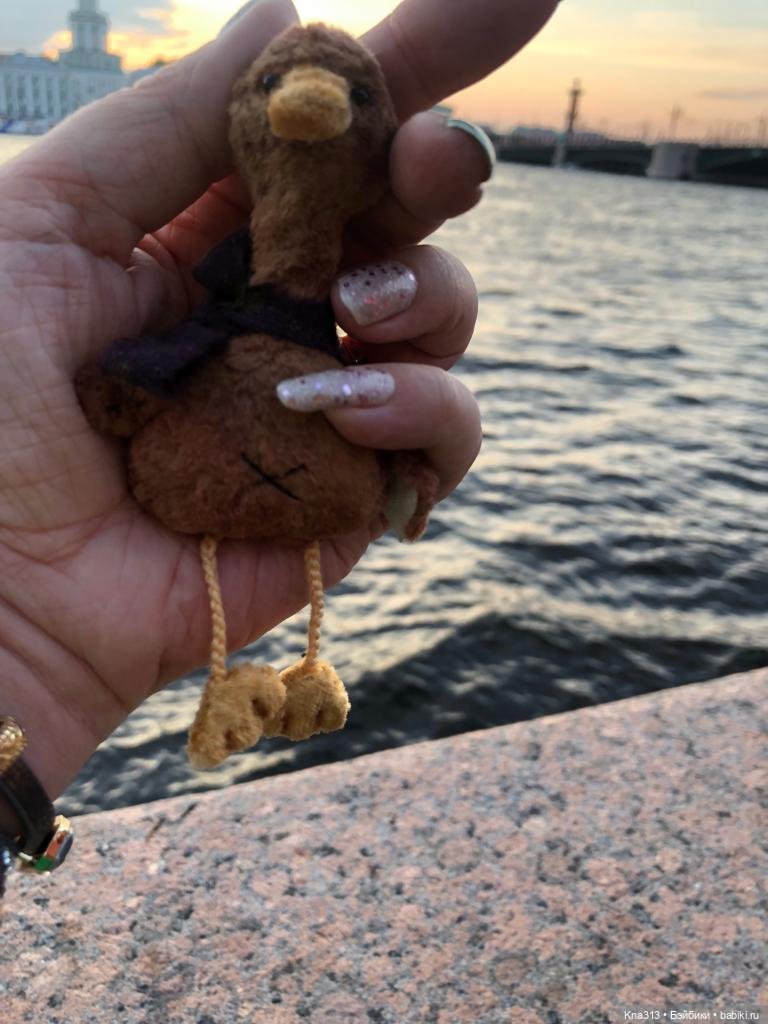 Гуси в Питере. Продолжение