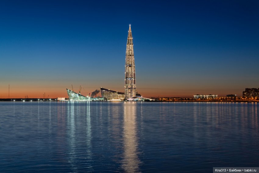 Гуси в Питере. Продолжение