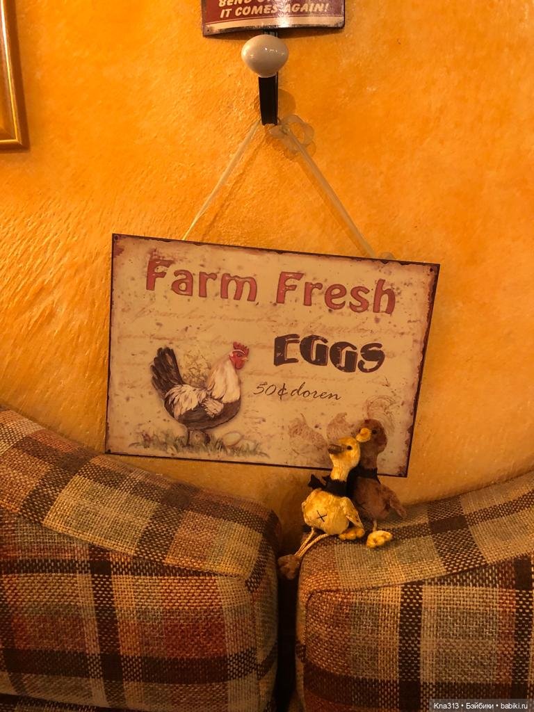 Гуси в Питере. Продолжение