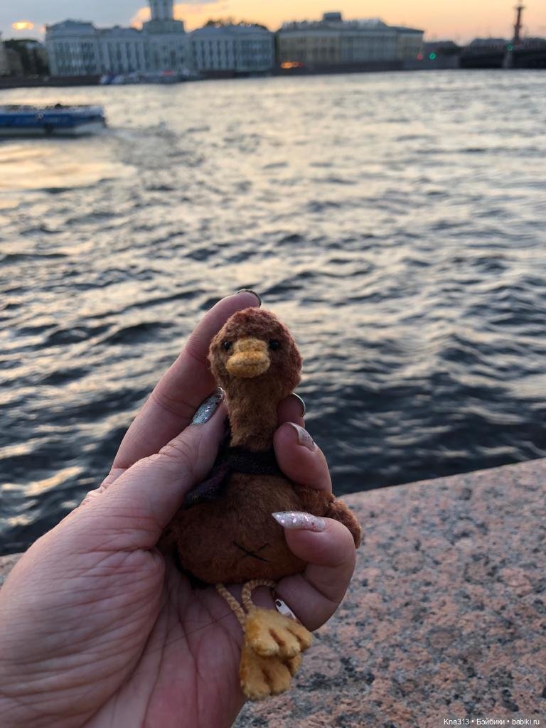 Гуси в Питере. Продолжение