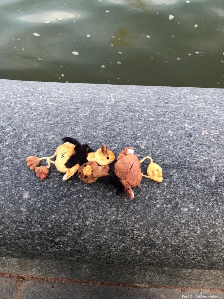 Гуси в Питере. Продолжение (фото 10)