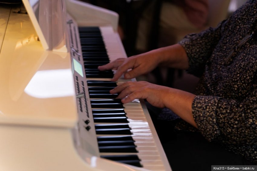 Гуси в Питере. Продолжение