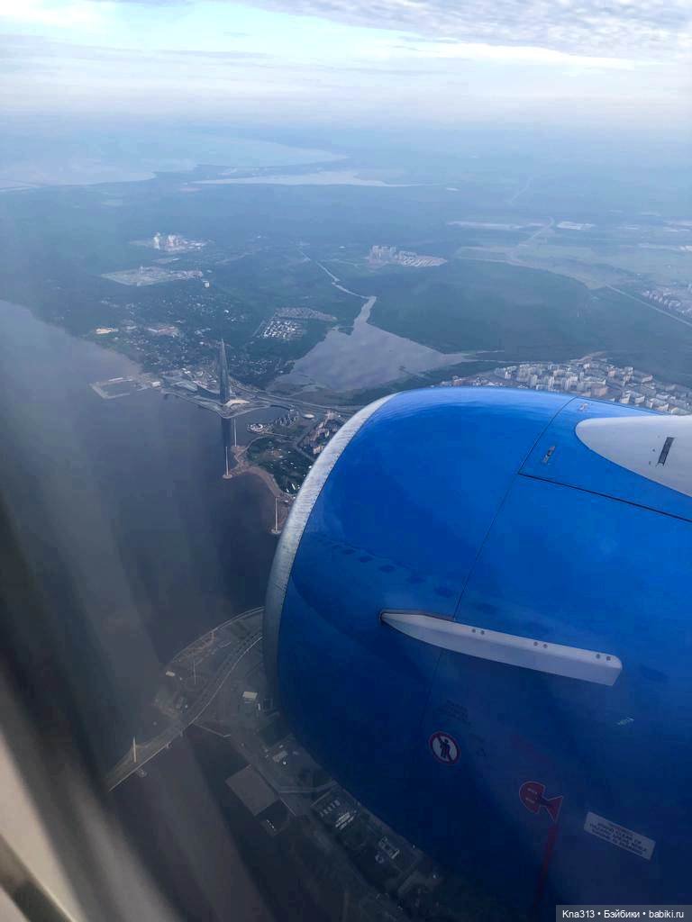 Гуси в Питере. Продолжение