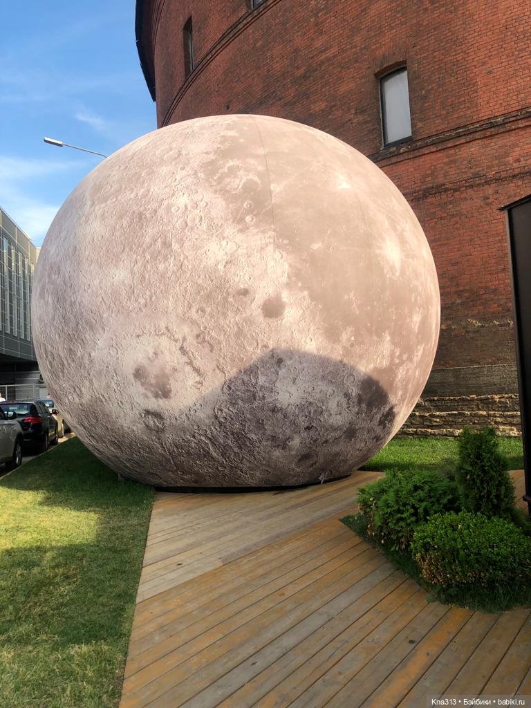 Гуси в Питере. Продолжение (фото 9)