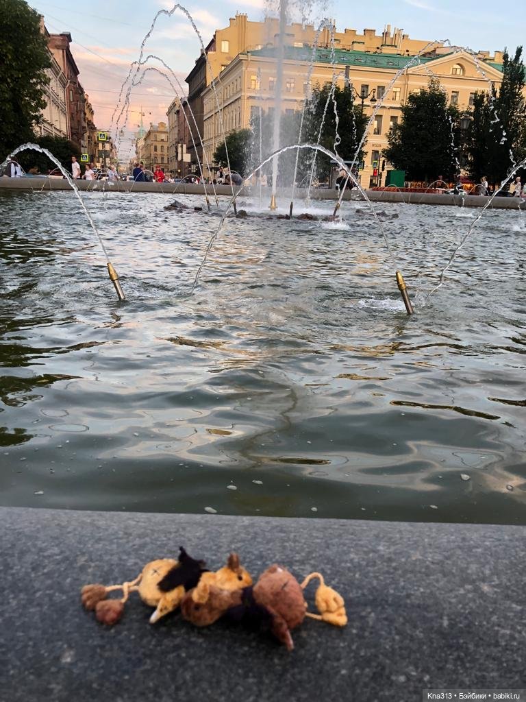 Гуси в Питере. Продолжение