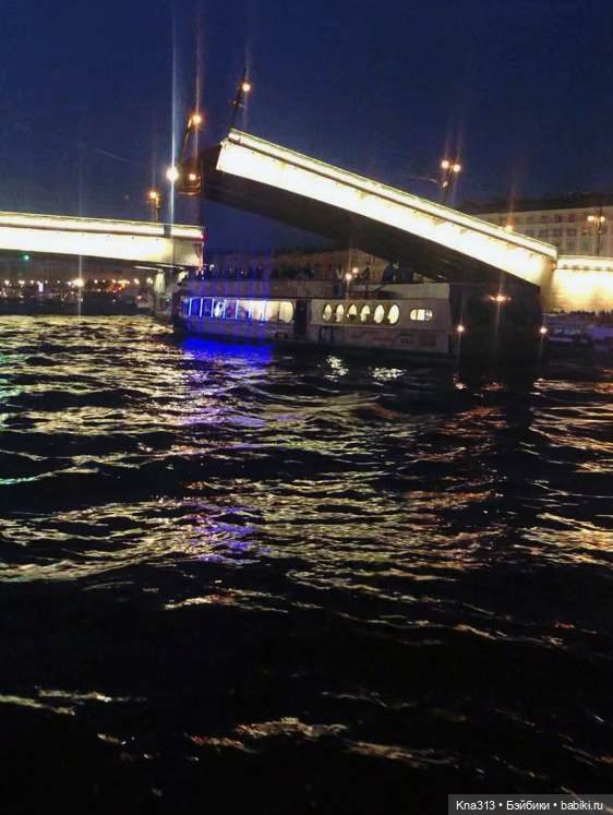 Гуси в Питере. Продолжение