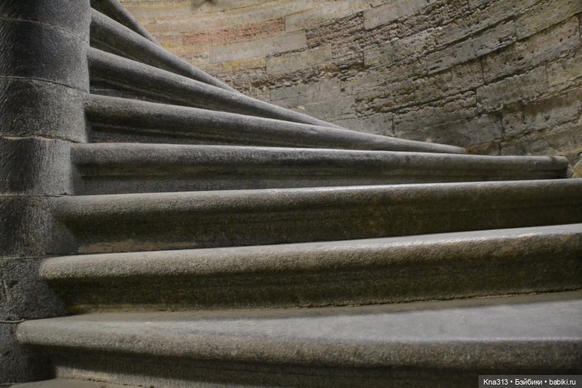 Гуси в Питере. Продолжение