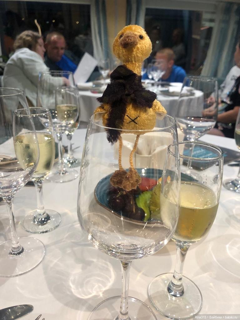 Гуси в Питере. Продолжение