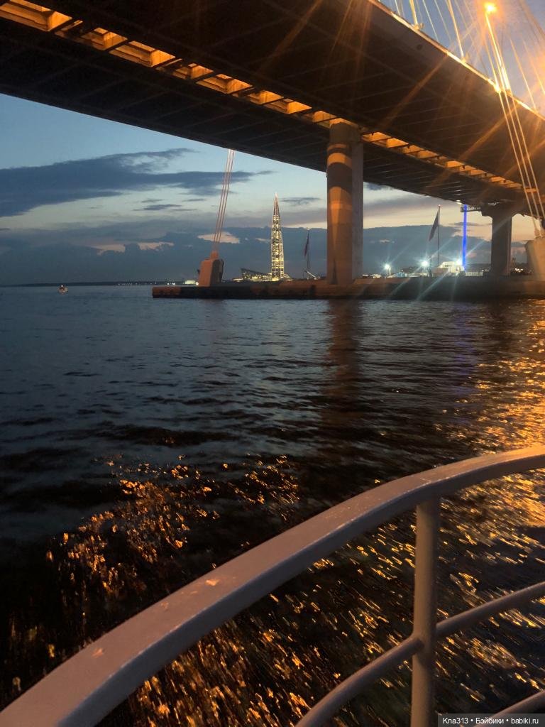 Гуси в Питере. Продолжение