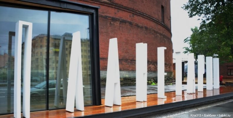 Гуси в Питере. Продолжение