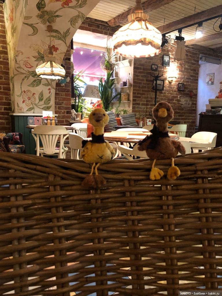 Гуси в Питере. Продолжение