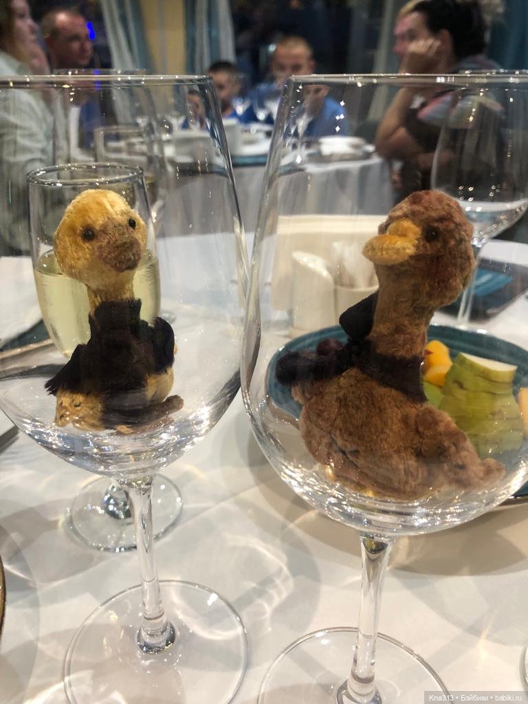 Гуси в Питере. Продолжение