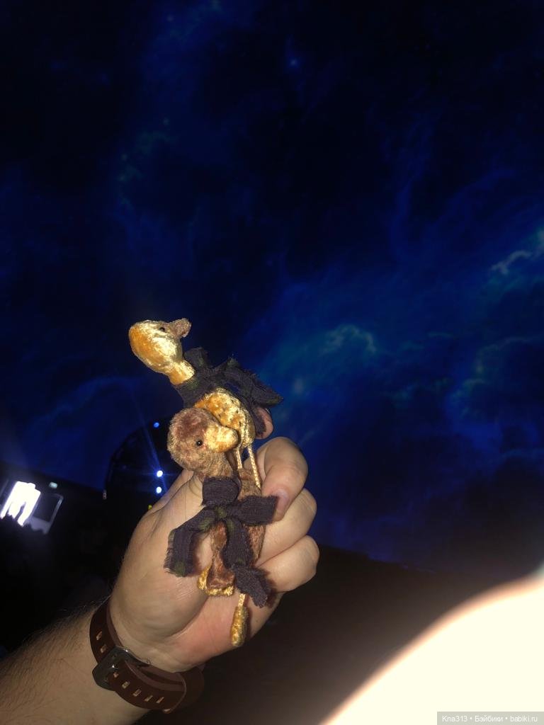 Гуси в Питере. Продолжение (фото 4)