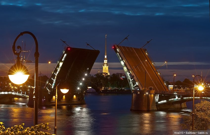 Гуси в Питере. Продолжение