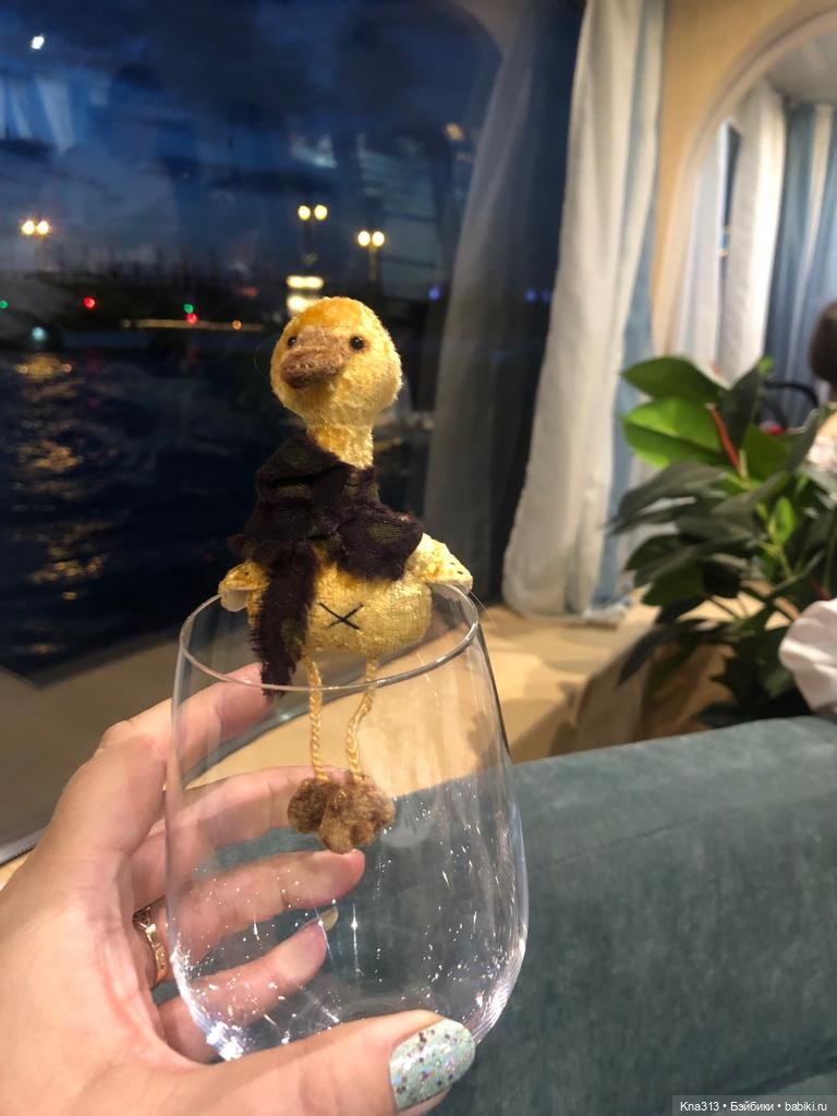 Гуси в Питере. Продолжение