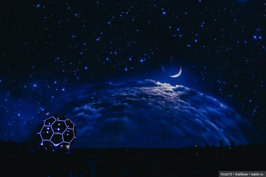 Гуси в Питере. Продолжение (фото 6)