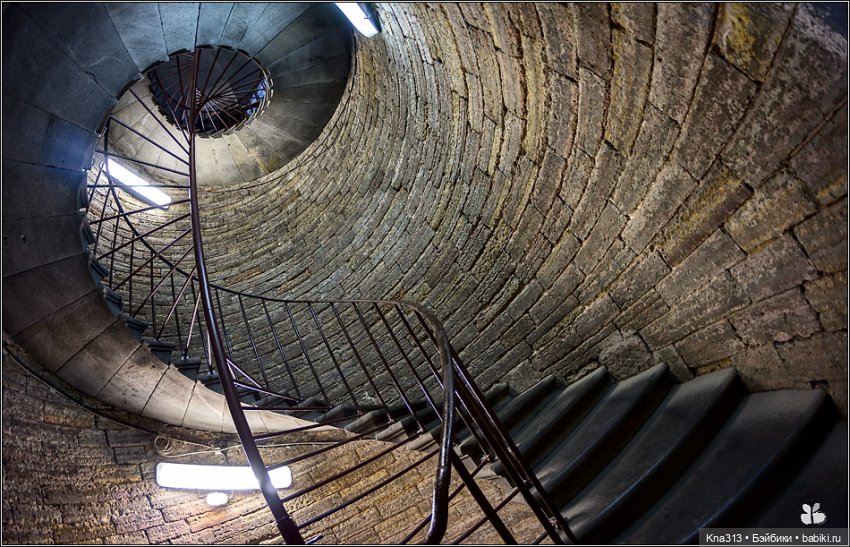 Гуси в Питере. Продолжение