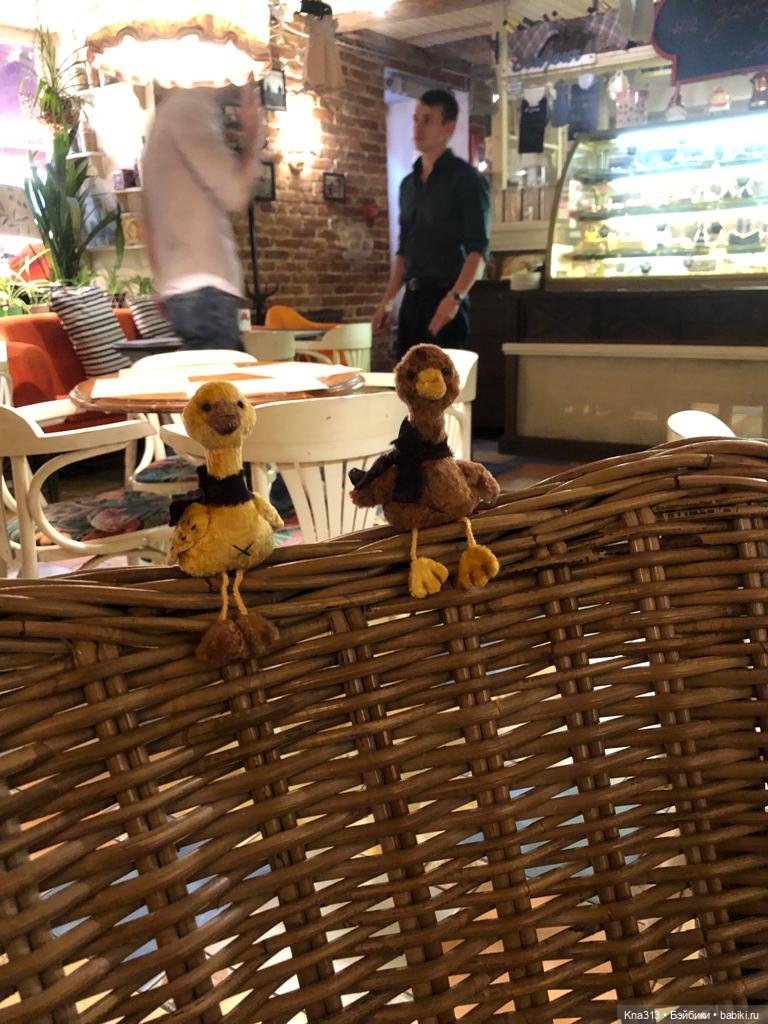 Гуси в Питере. Продолжение