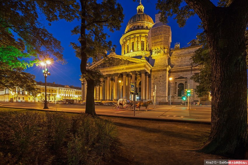 Гуси в Питере. Продолжение