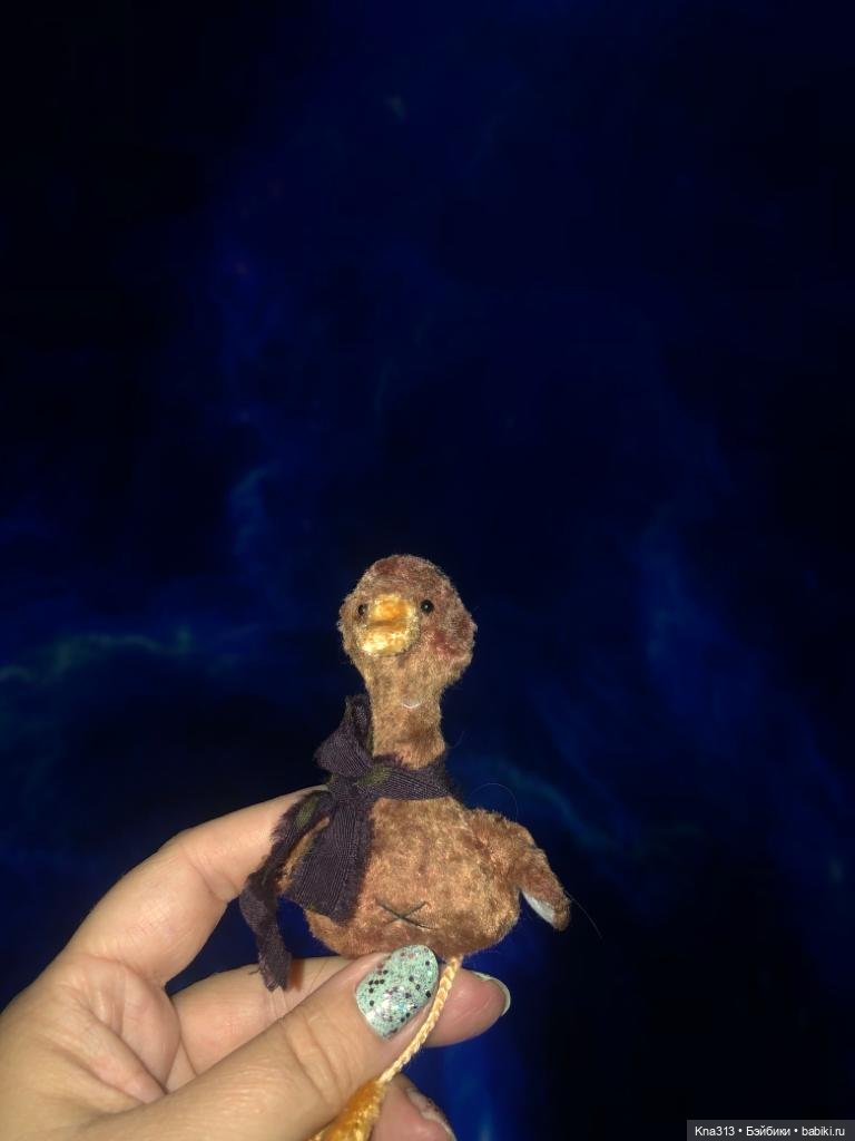 Гуси в Питере. Продолжение (фото 7)