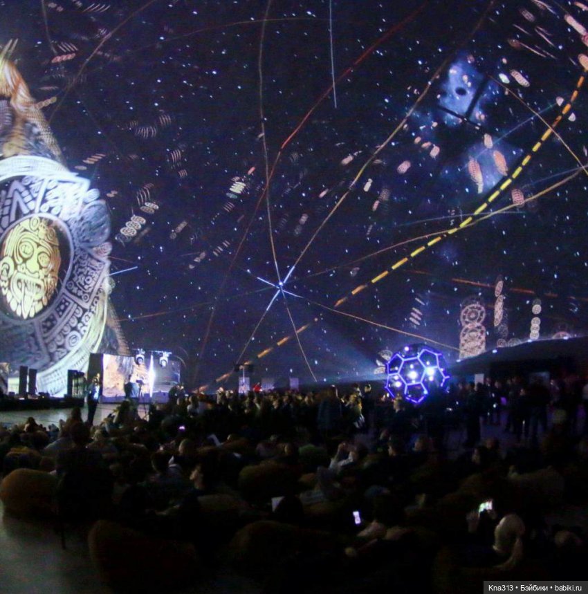 Гуси в Питере. Продолжение (фото 8)