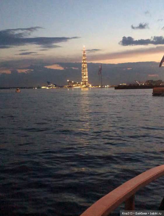 Гуси в Питере. Продолжение