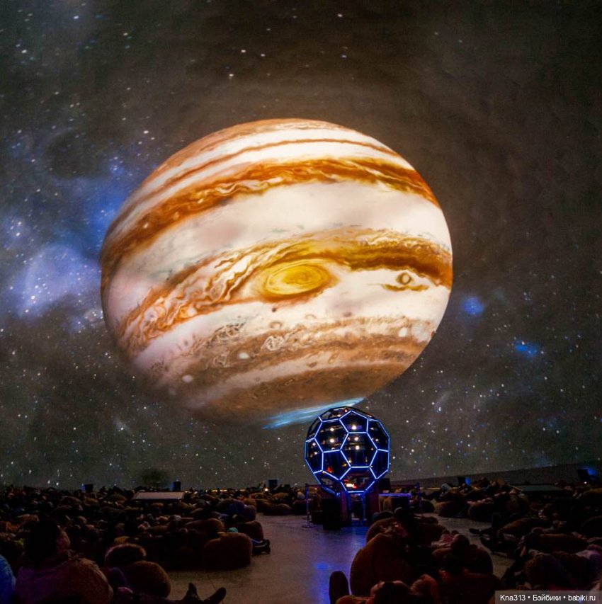 Гуси в Питере. Продолжение (фото 3)