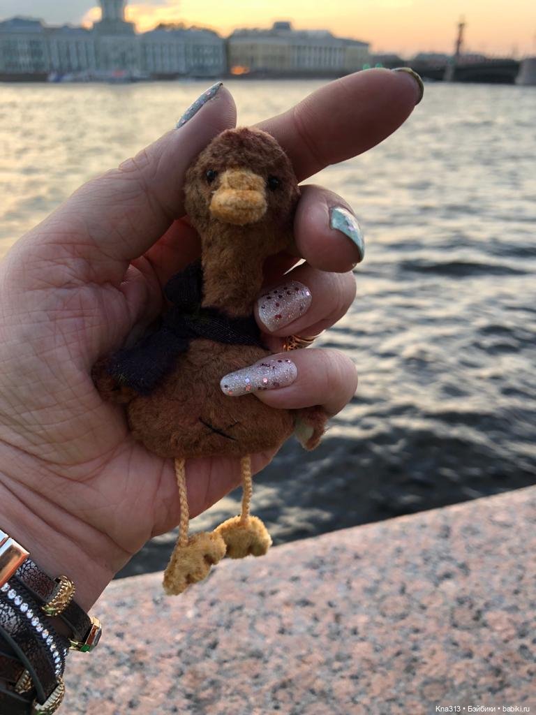 Гуси в Питере. Продолжение