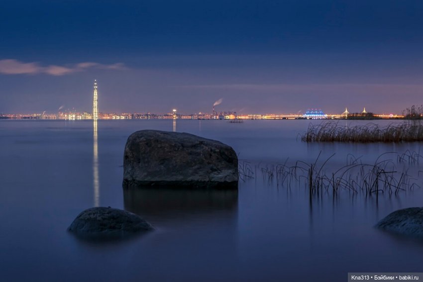 Гуси в Питере. Продолжение