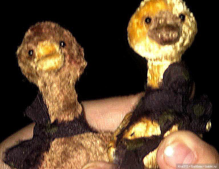 Гуси в Питере. Продолжение (фото 5)