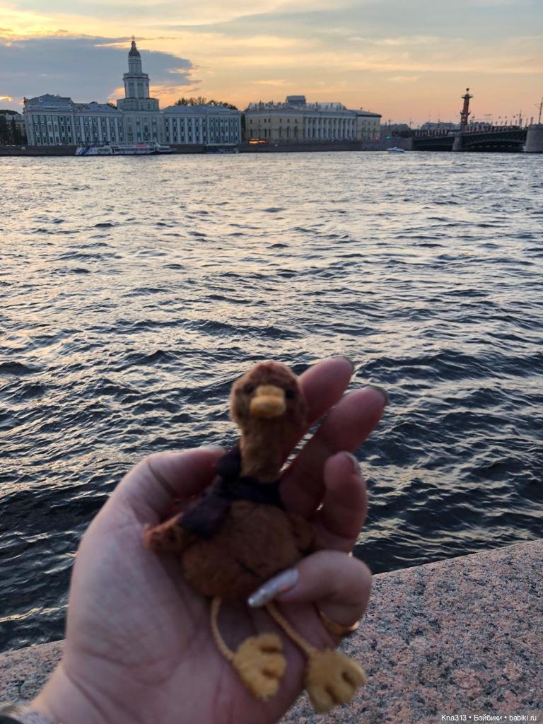 Гуси в Питере. Продолжение