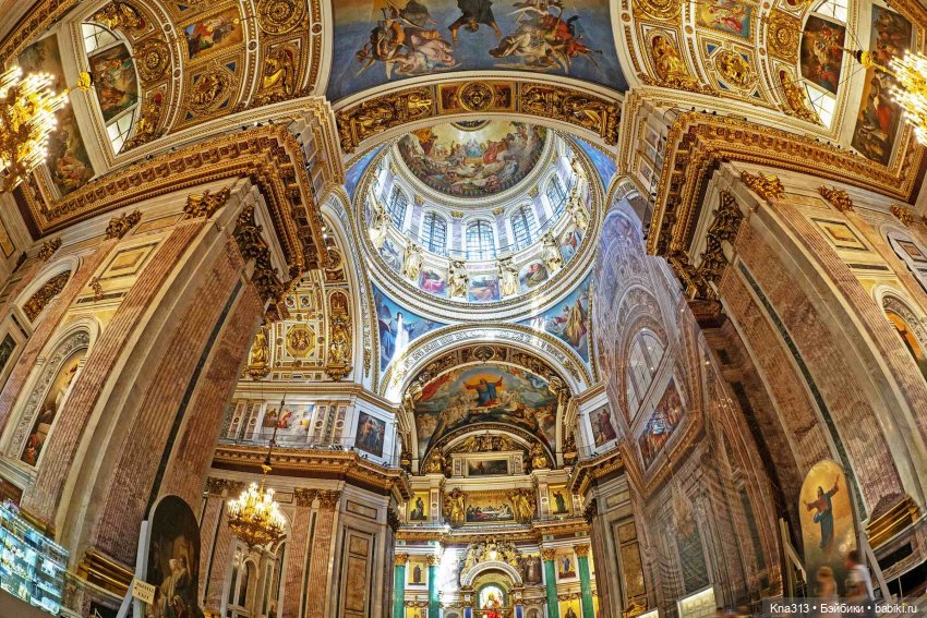 Гуси в Питере. Продолжение