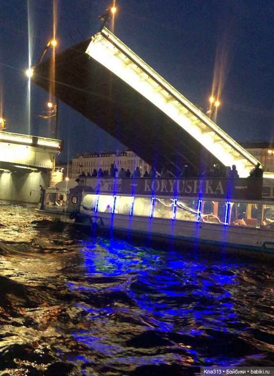 Гуси в Питере. Продолжение