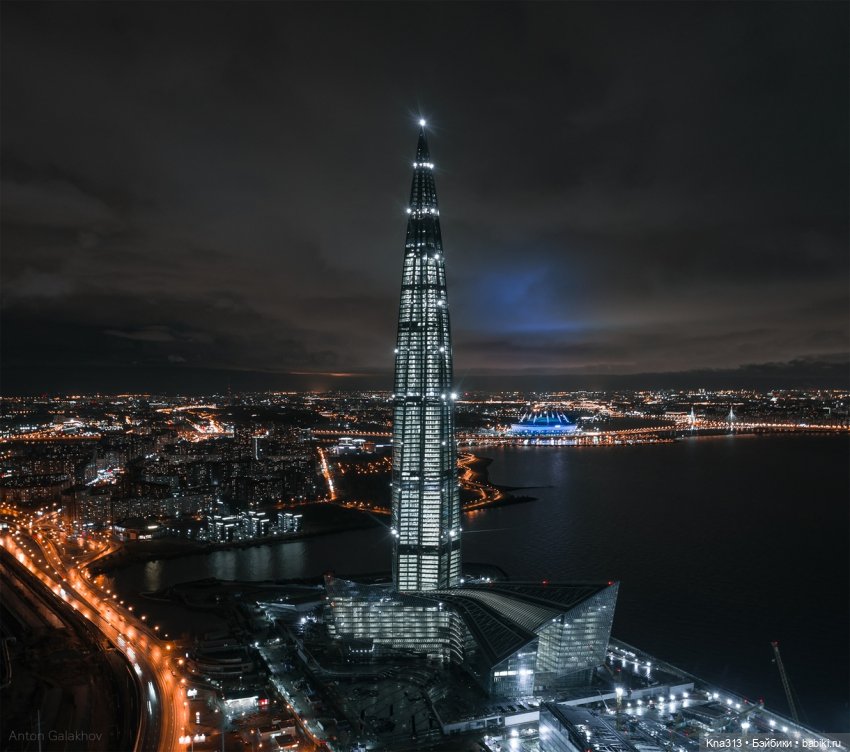 Гуси в Питере. Продолжение