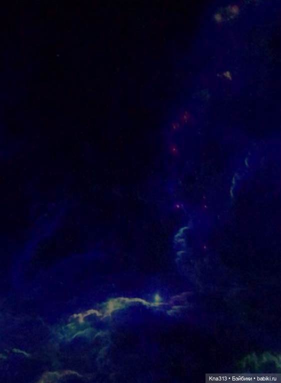 Гуси в Питере. Продолжение (фото 2)