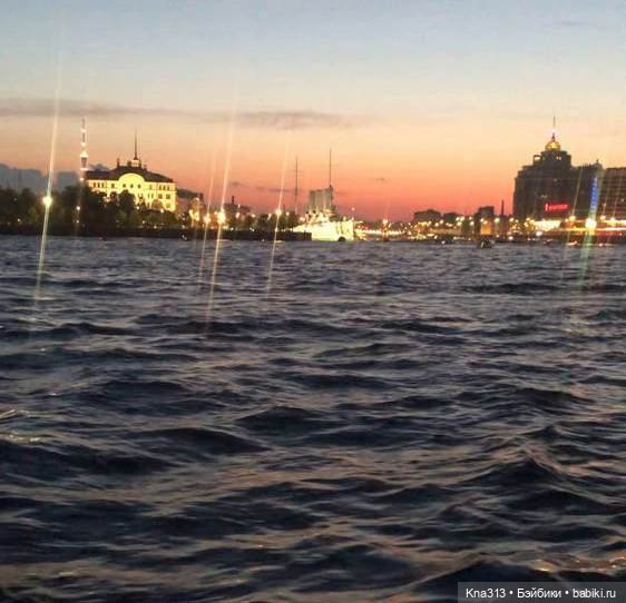 Гуси в Питере. Продолжение