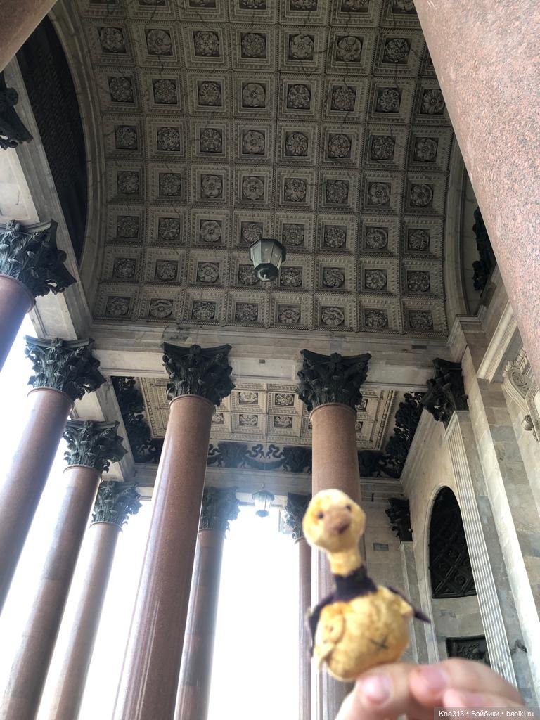 Гуси в Питере. Продолжение