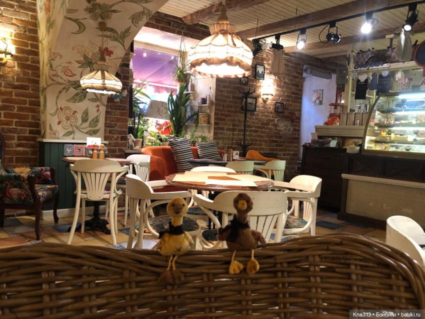 Гуси в Питере. Продолжение