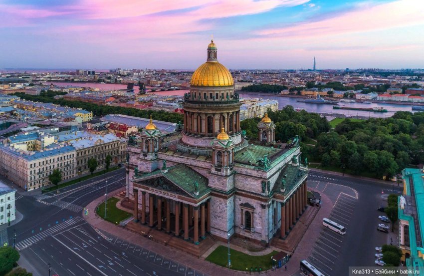 Гуси в Питере. Продолжение