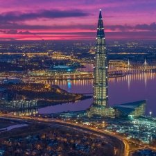 Гуси в Питере. Продолжение.