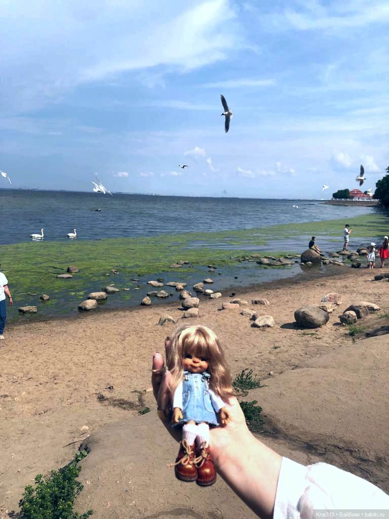 Васька в Питере. Продолжение. Заключительная часть путешествия