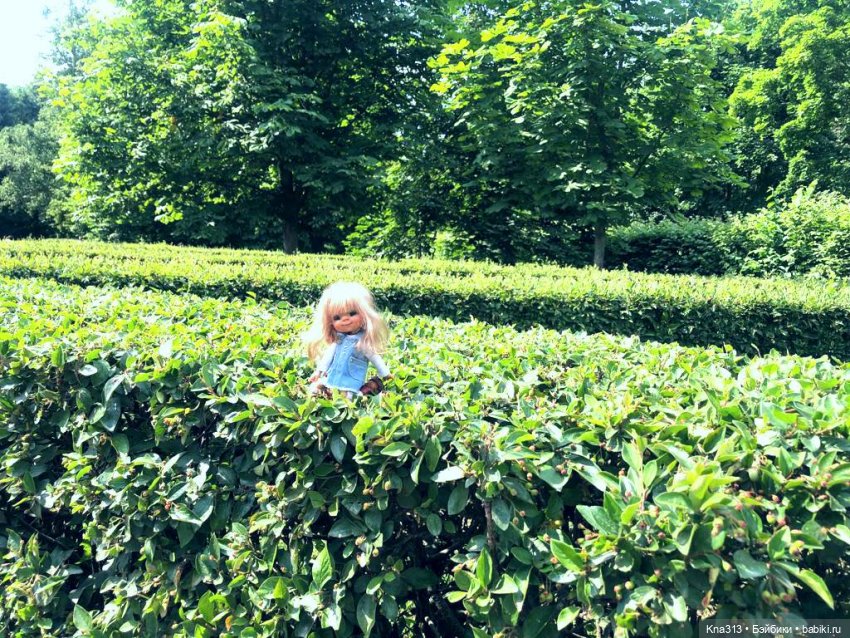 Васька в Питере. Продолжение. Заключительная часть путешествия