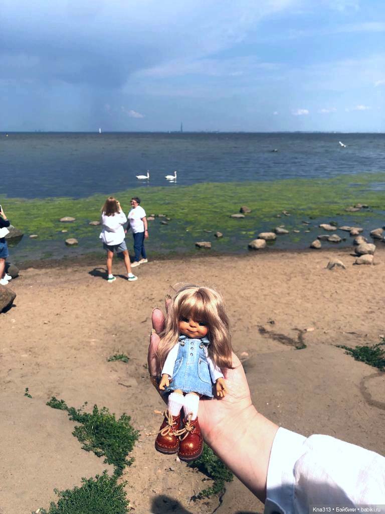 Васька в Питере. Продолжение. Заключительная часть путешествия