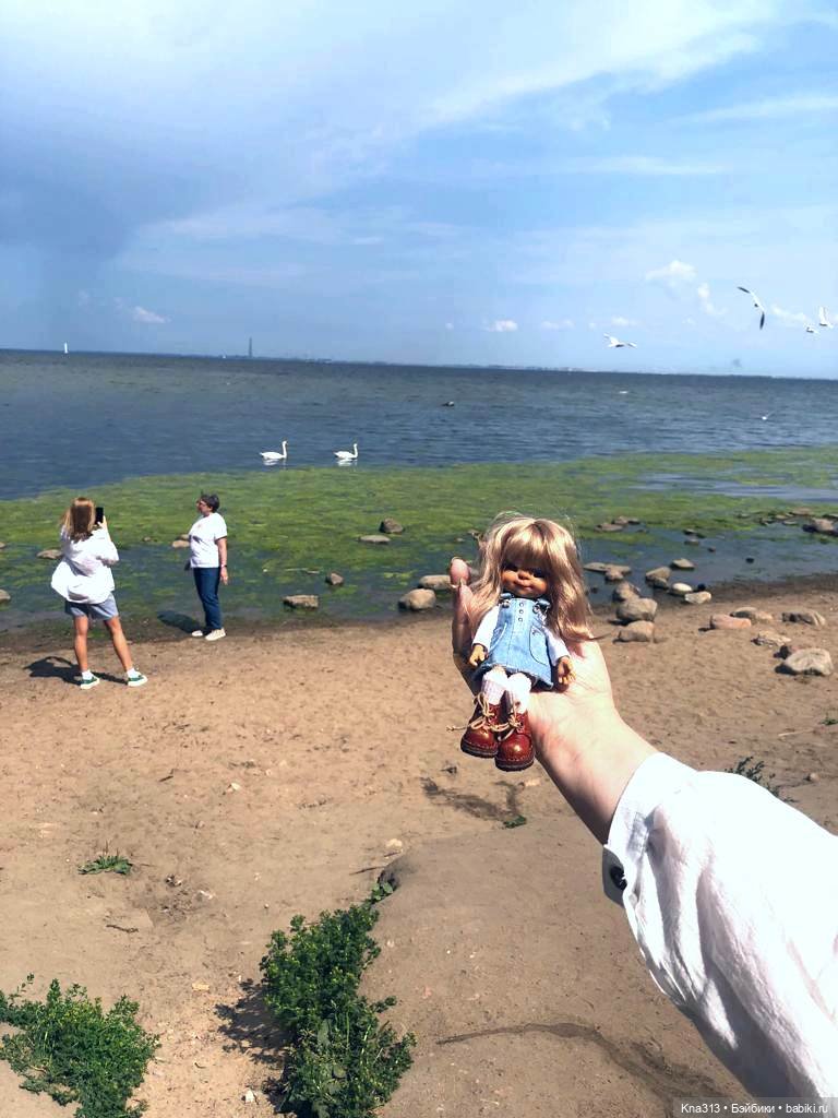 Васька в Питере. Продолжение. Заключительная часть путешествия