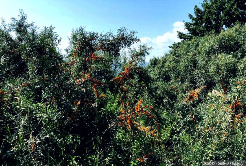 Поймали лето за хвост — Туризм и путешествия: фотоотчеты из поездок (фото 10)