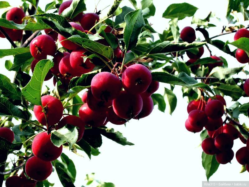 Поймали лето за хвост — Туризм и путешествия: фотоотчеты из поездок