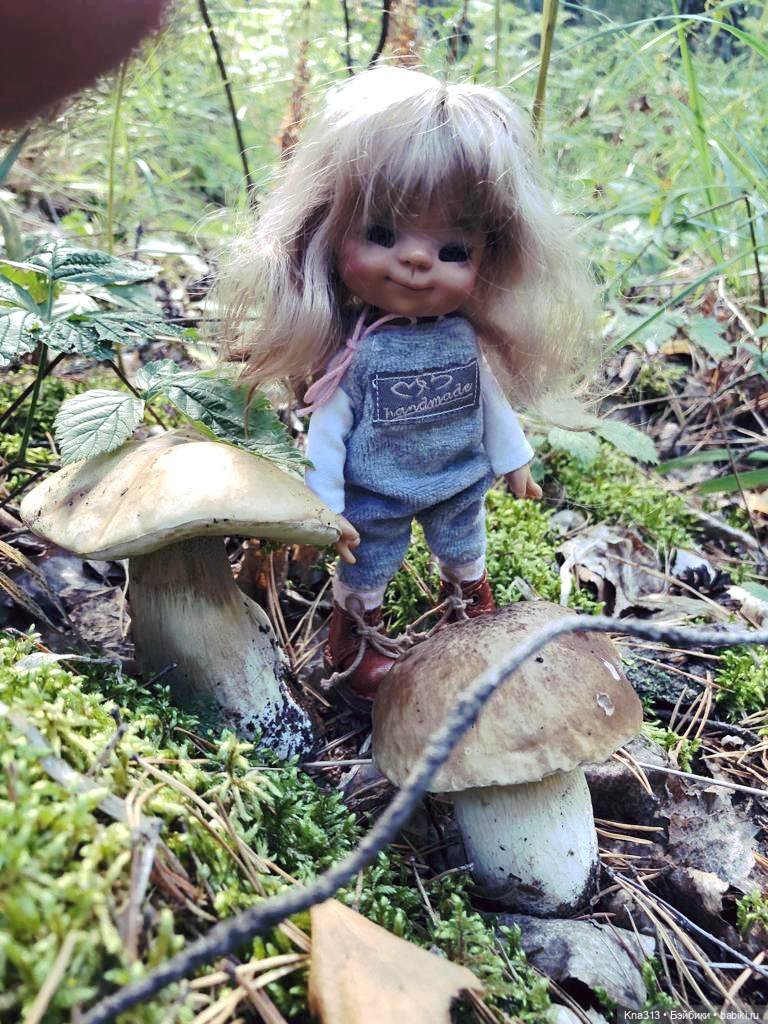 Весёлые грибы. Великие скалы. Тропами гномов